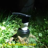 /home//u458753944/public_html/sourcegallery//Roxborough Toad Detour/2013-2019/2018/2018-04-28/P4280029.JPG